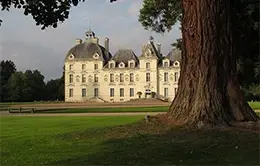 Visita al elegante Castillo de Cheverny