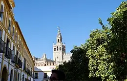 Visita a la catedral y la Giralda de Sevilla