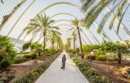 Descubre la trayectoria de Valencia con un guía local.