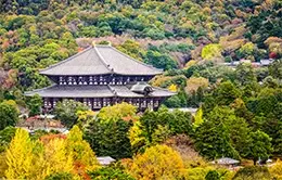 Encuentro con el Buda gigante en Todaiji, Nara