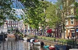 Visita panorámica de Ámsterdam, incluyendo la Plaza de los Museos