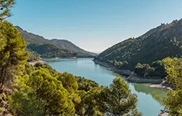 Explora la bulliciosa urbe marítima de Alicante.