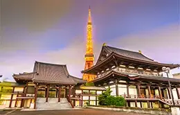 Visita a la emblemática Torre de Tokyo.