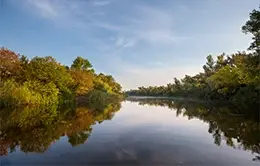 Viaje hacia la vibrante Berlín.