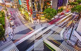 Disfruta de una experiencia de compras única en el famoso distrito de Ginza.