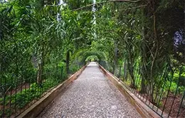 Pasee por los jardines del Generalife, un oasis de calma.