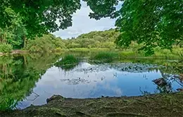 Descubre la pintoresca belleza de Cong.