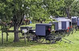 Explora las pintorescas granjas Amish en Lancaster