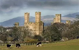Explora el impresionante castillo de Caernarfon.