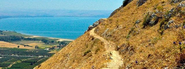 FLEXITRAVEL TIERRA SANTA Y MAR MUERTO 