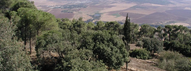 FLEXITRAVEL 4 MARES DE ISRAEL 