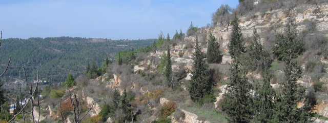 PEREGRINACIÓN A TIERRA SANTA Y ROMA 