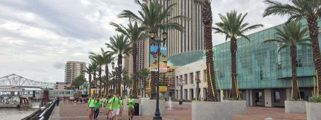 COLORES DE NEW ORLEANS 2026