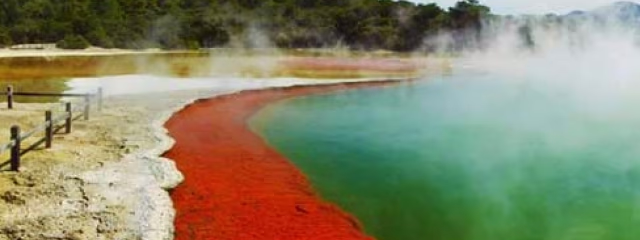 Nueva Zelanda, Tierra De Maoríes