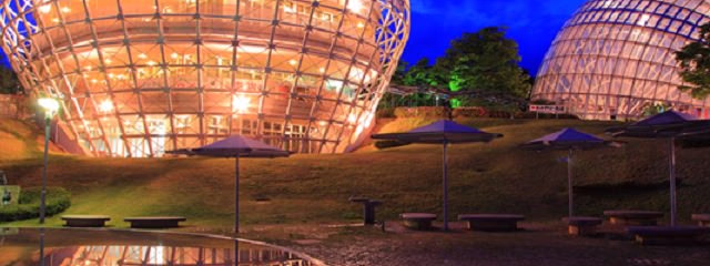 Descubriendo Kamakura y Monte Fuji