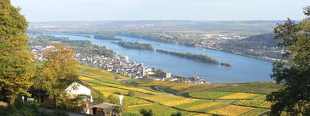 Rin Romántico y Alsacia – VISTARIO Superior