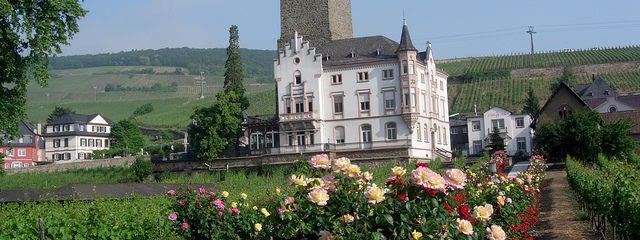 Londres, París, Suiza y Austria