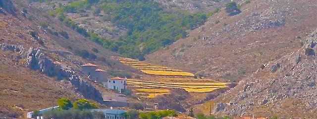 Todos a Grecia - Cat. Primera