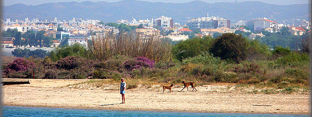 SE5008-Portugal al Completo con Santiago