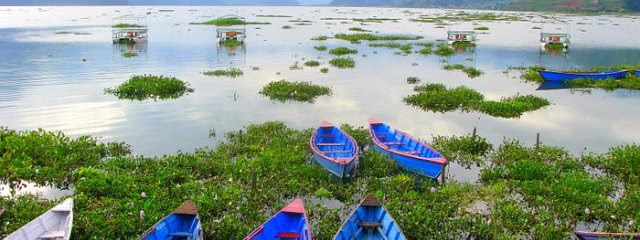 NEPAL, TEMPLOS Y SAFARI