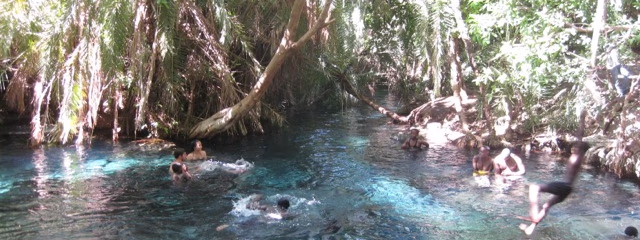 TANZANIA ESENCIAL (+1n Arusha al final)