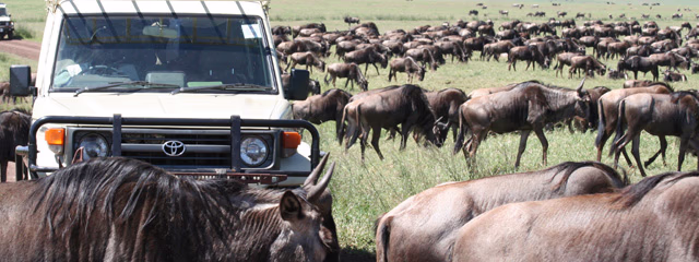 AVENTURA EN KENYA Y TANZANIA (en 4x4) CON ZANZIBAR