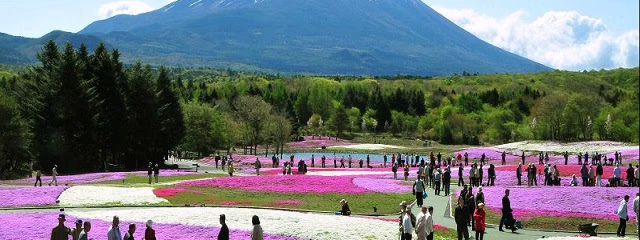 GRAN JAPON 10 DIAS (TOKYO- TOKYO)