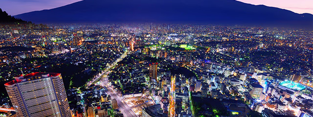 JAPON ESENCIAL CON OSAKA (TOKYO-OSAKA)