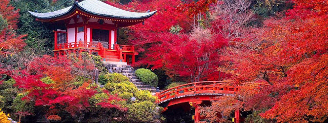 SUPER JAPON  (TOKYO-TOKYO) - EXCLUSIVO SPECIAL TOURS (Desde Abril 2027)