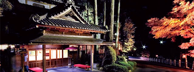 JAPON BANZAI Y COREA (TOKYO - SEÚL)