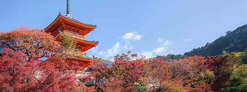 Capitales de Japón con Monte Fuji