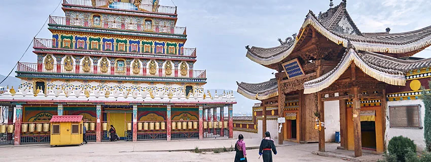 MITOS Y LEYENDAS DE NEPAL Y BHUTAN - Festival de la grulla de cuello negro