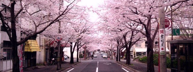 Luces de Japon y Corea