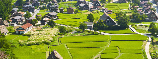 Viaje al Corazón de Japón