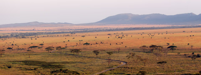 LO MEJOR DE SUDAFRICA Y CATARATAS VICTORIA (ZIMBABWE) (Desde Enero 2027)