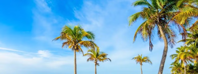 RIVIERA MAYA CON AEREO INCLUIDO - DESDE BUENOS AIRES