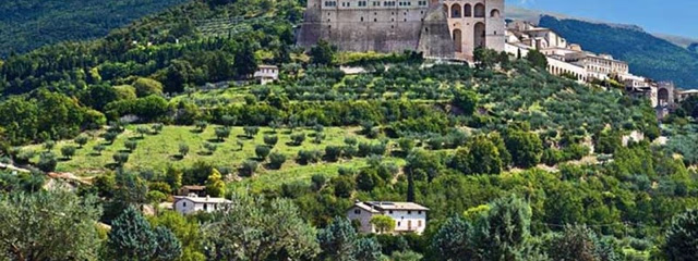 Paris e Italia con Amigas