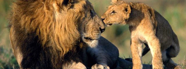 AVENTURA EN KENYA Y TANZANIA CON LAGO EYASI (en 4x4)