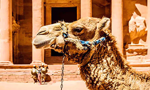 Qué hacer en tu viaje a Jordania: Explorando la tierra de las maravillas antiguas