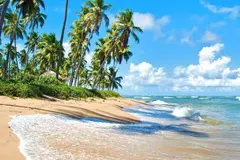 Praia Do Forte